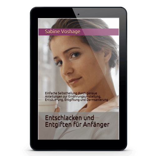 entschlacken und entgiften für anfänger als ebook